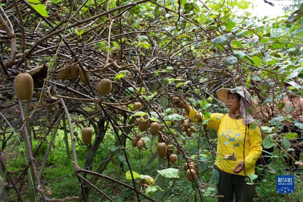 大奖网触屏版登录